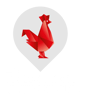 Logo_FT_NewZealand_Blanc